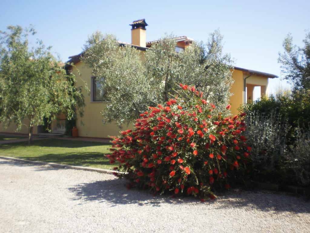 Locanda Degli Etruschi Montalto di Castro Dış mekan fotoğraf