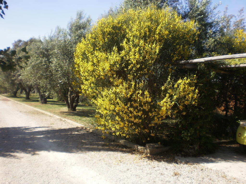 Locanda Degli Etruschi Montalto di Castro Dış mekan fotoğraf