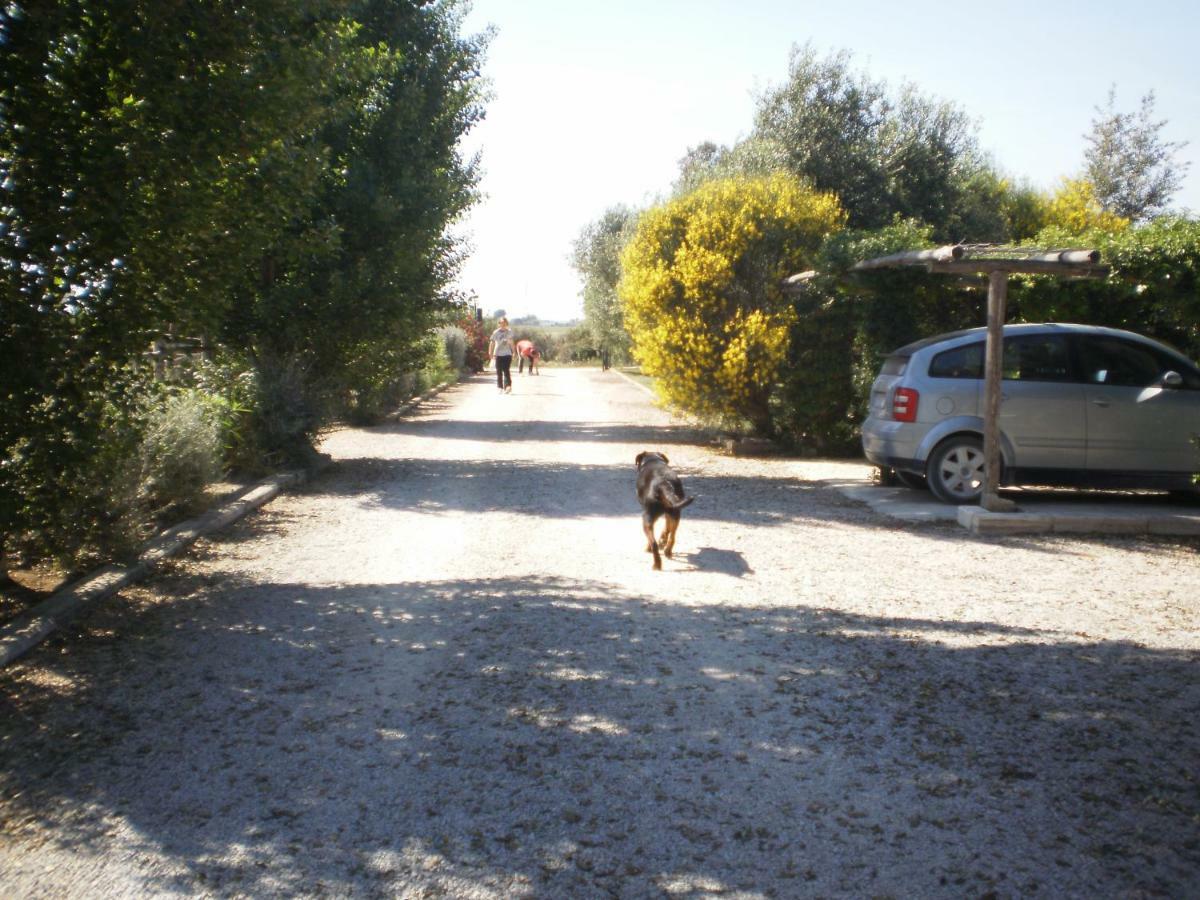 Locanda Degli Etruschi Montalto di Castro Dış mekan fotoğraf